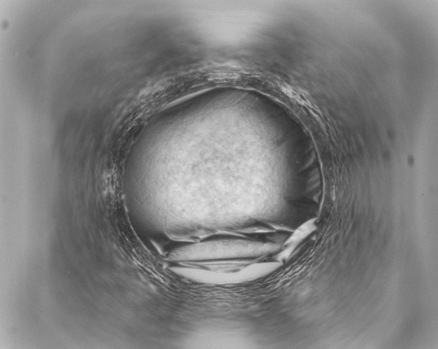 X0000087031445200705071523