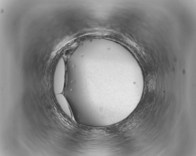 X0000087031448200705071523