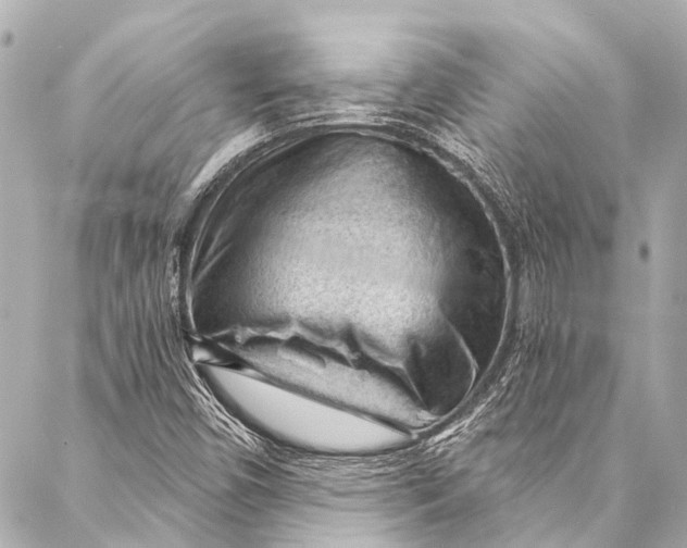 X0000087031450200705071522