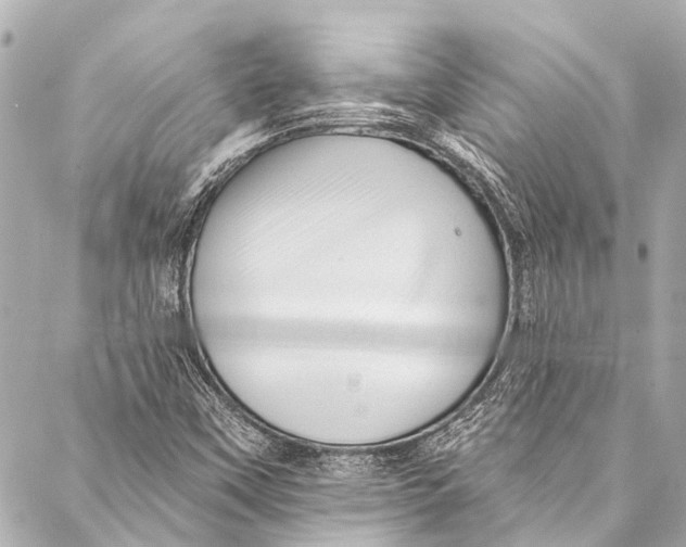 X0000087031451200705071522