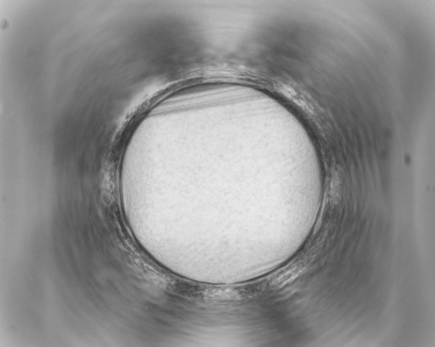 X0000087031454200705071522