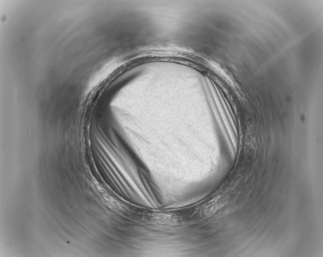 X0000087031456200705071522