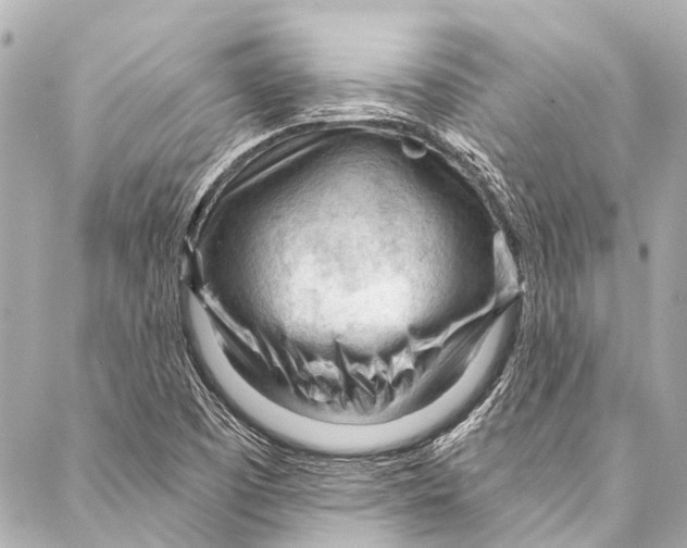 X0000087031457200705071522