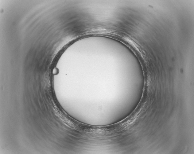 X0000087031458200705071522