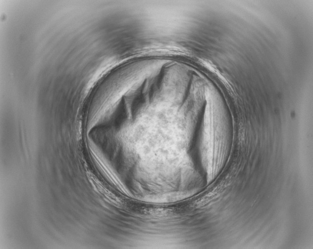 X0000087031459200705071522