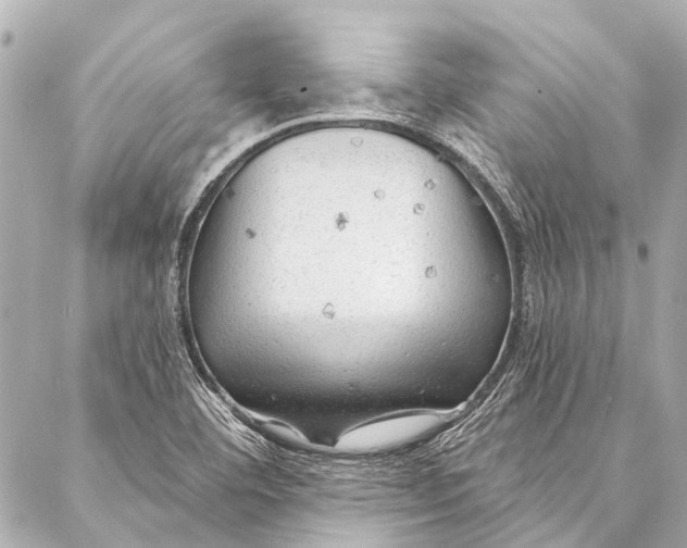 X0000087031460200705071522