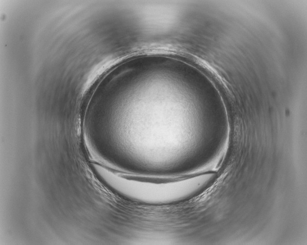 X0000087031461200705071522