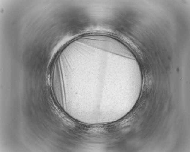 X0000087031462200705071522