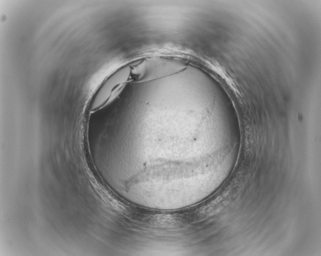 X0000087031463200705071522