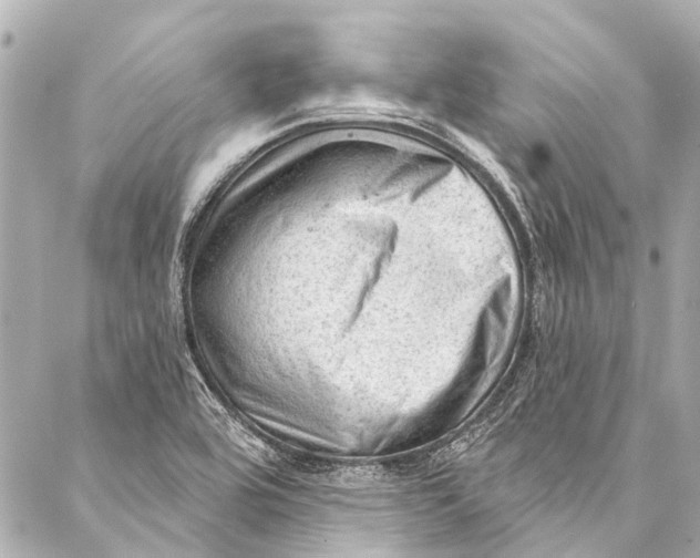 X0000087031464200705071522