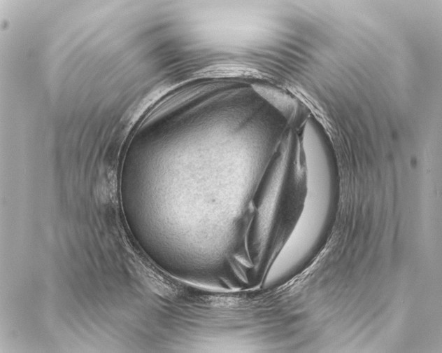 X0000087031465200705071522