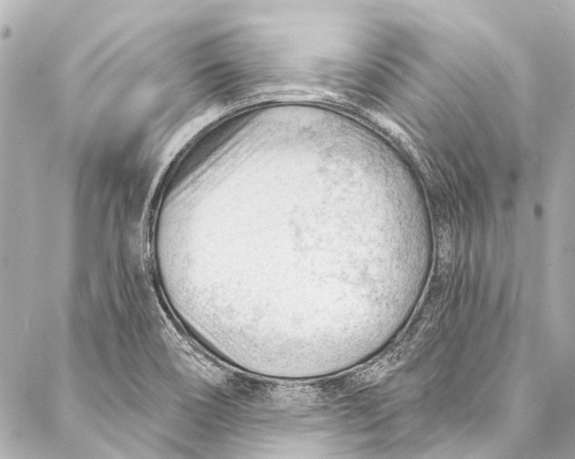 X0000087031466200705071522