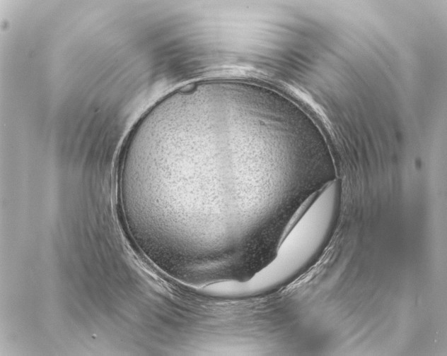 X0000087031467200705071522