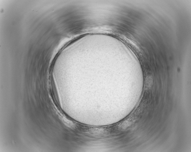 X0000087031470200705071522