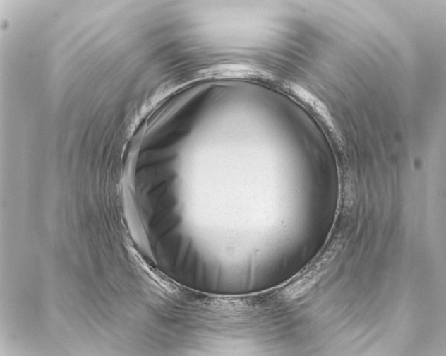 X0000087031473200705071522