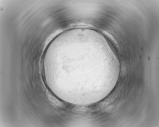 X0000087031474200705071522