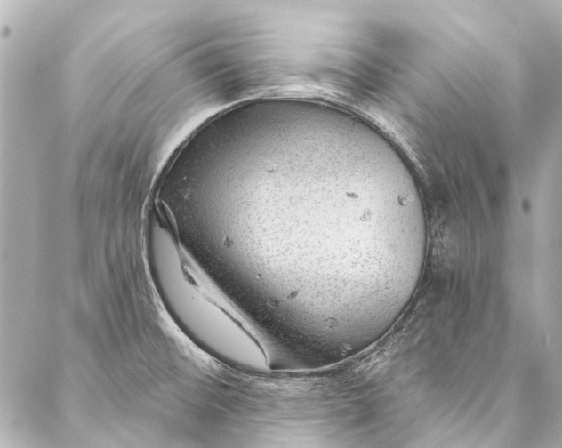 X0000087031476200705071522