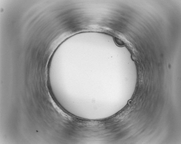 X0000087031479200705071522