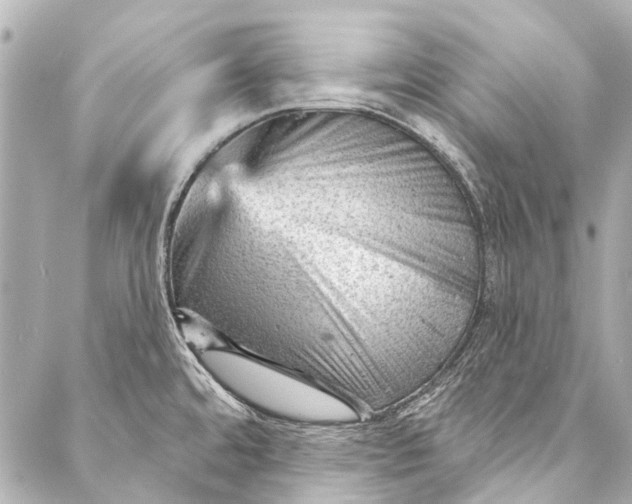 X0000087031480200705071522