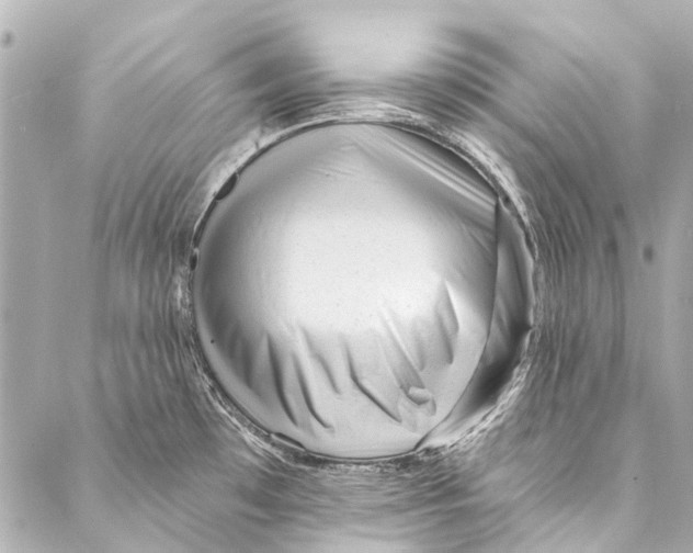 X0000087031481200705071522