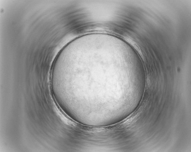 X0000087031482200705071522