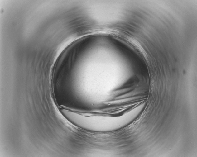 X0000087031483200705071522