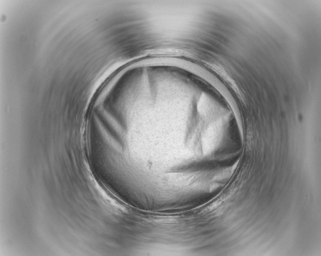 X0000087031484200705071522