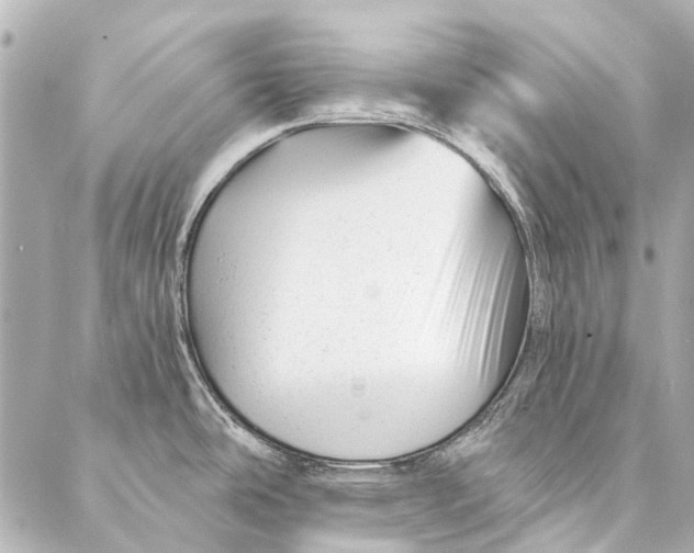 X0000087031486200705071522