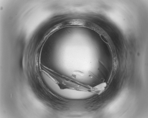 X0000087031487200705071522