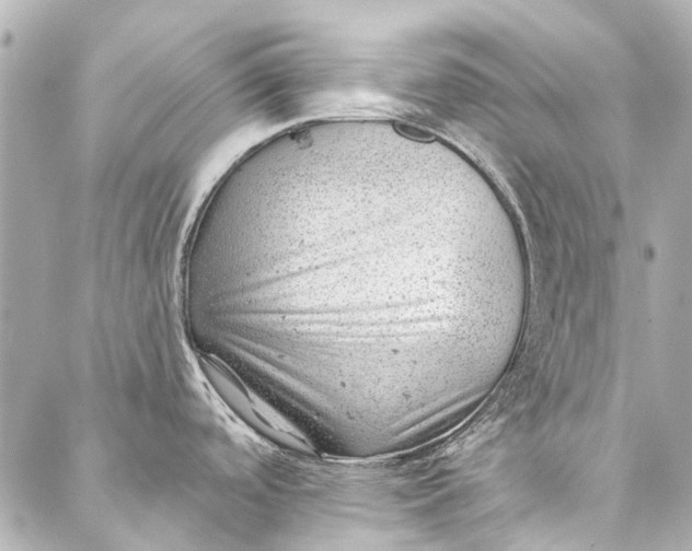 X0000087031488200705071522