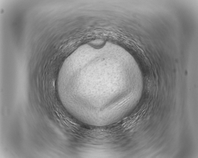 X0000087031489200705071521