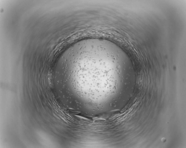 X0000087031490200705071521