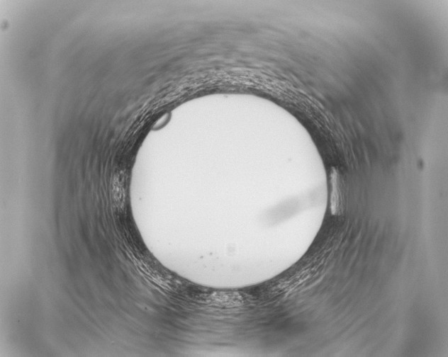 X0000087031491200705071521