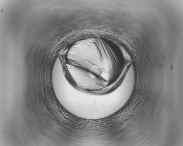 X0000087031492200705071521