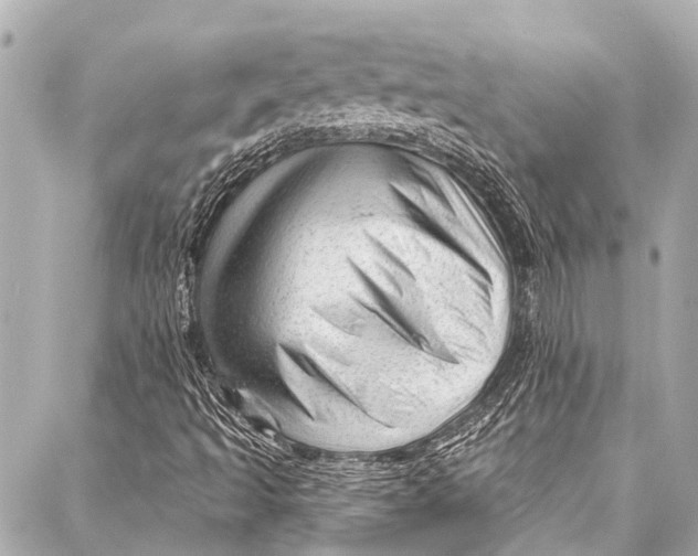 X0000087031493200705071521