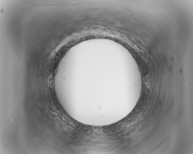 X0000087031495200705071521