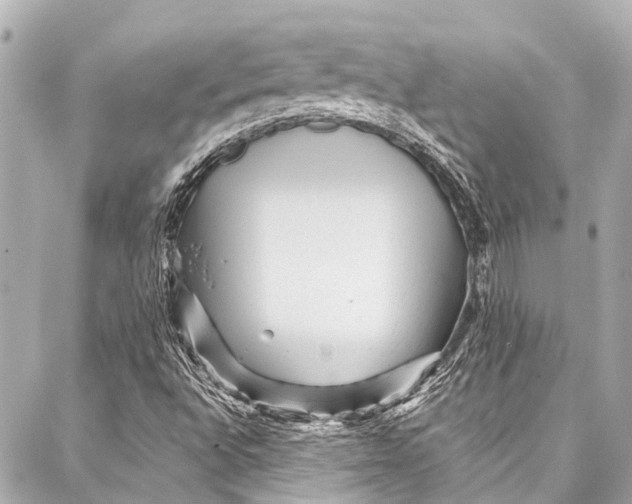 X0000087031496200705071521