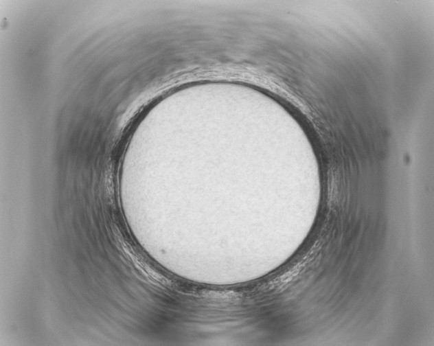 X0000087031498200705071521