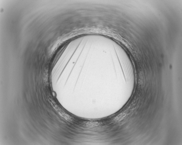 X0000087031499200705071521