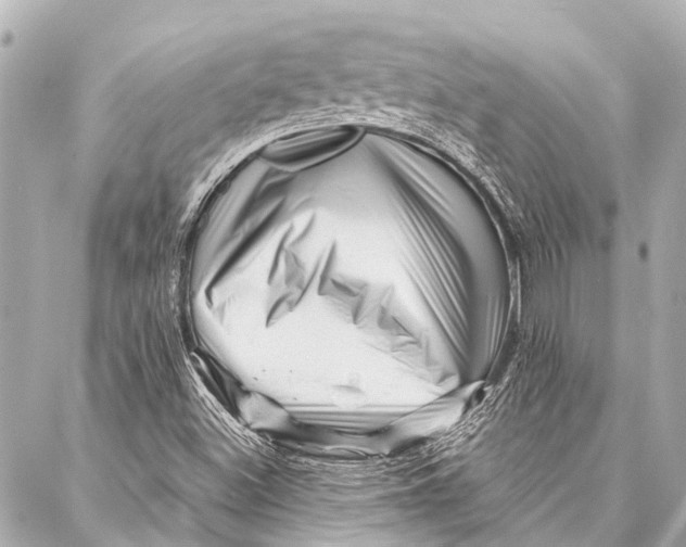 X0000087031500200705071521