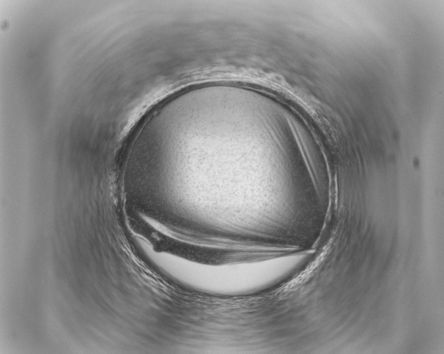 X0000087031501200705071521