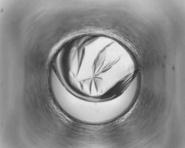 X0000087031502200705071521