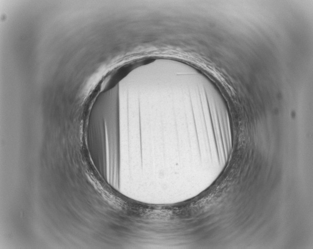 X0000087031503200705071521