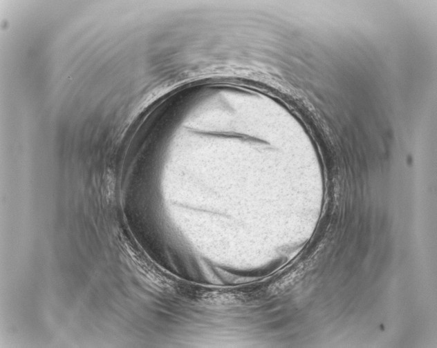 X0000087031505200705071521