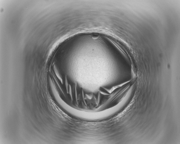 X0000087031506200705071521