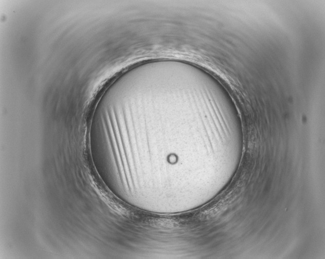 X0000087031507200705071521