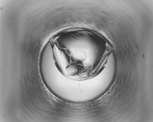 X0000087031508200705071521