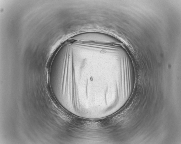 X0000087031509200705071521