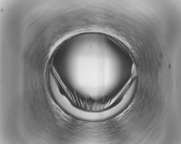 X0000087031510200705071521