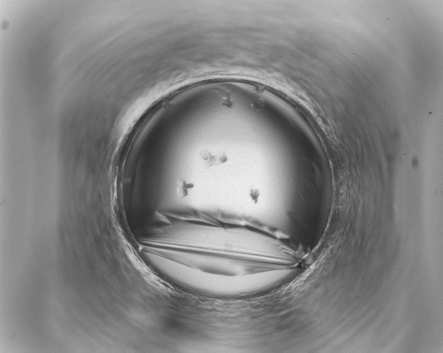 X0000087031511200705071521